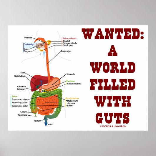 Gewollt: Eine Welt voll von Wölfen (anatomische Wa Poster (Vorne)