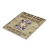 Gewollt Frieden, Liebe und Inspiration: Harmonie v Fliese (Seite)