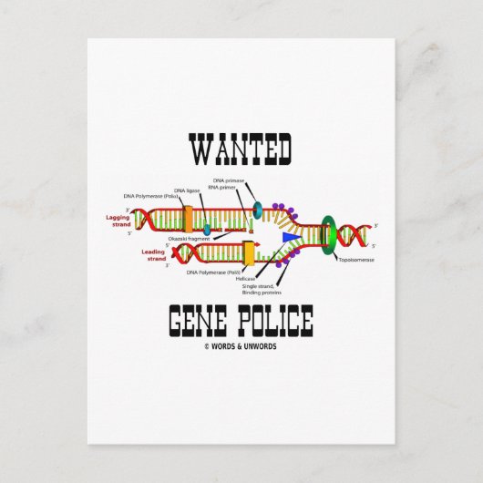 Gewollt Genpolizei (DNA Replication Spaß) Postkarte (Vorderseite)