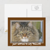 Gewollt, HELLO zu sagen!! Postkarte (Vorne/Hinten)