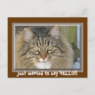 Gewollt, HELLO zu sagen!! Postkarte