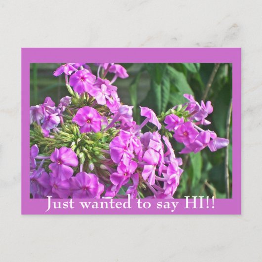 Gewollt, HI zu sagen!! Postkarte (Vorderseite)