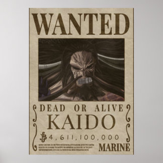 Gewollt KAIDO Kaido Bounty Poster