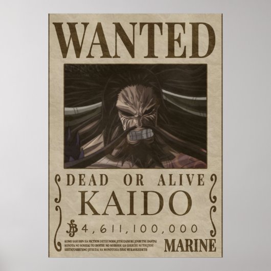 Gewollt KAIDO Kaido Bounty Poster (Vorne)