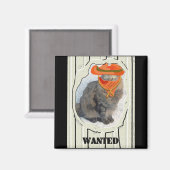 Gewollt Katze Magnet (Vorderseite/Rückseite)