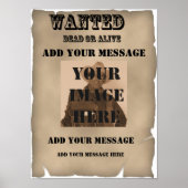 Gewollt Poster (Vorne)