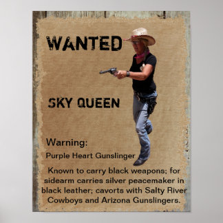 Gewollt Poster Gunslinger von West