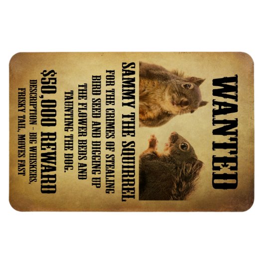 Gewollt Poster mit Eichhörnchen Magnet (Horizontal)