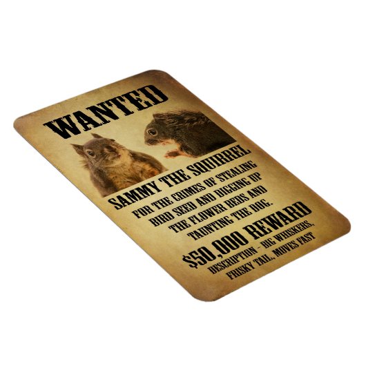 Gewollt Poster mit Eichhörnchen Magnet (Rechte Seite)