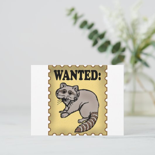 Gewollt Raccoon Postkarte (Stehend Vorderseite)