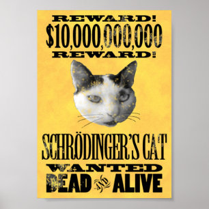 GEWOLLT: SCHRODINGER's CAT-Plakat Poster