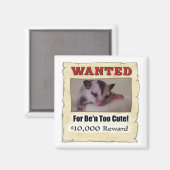 gewollt Segelflugzeug Magnet (Vorderseite/Rückseite)