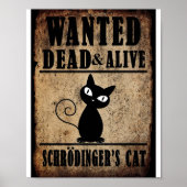Gewollt Totes oder Alive Schrodingers Cat Poster (Vorne)