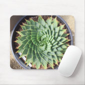 Gewundene Aloe Mousepad (Mit Mouse)