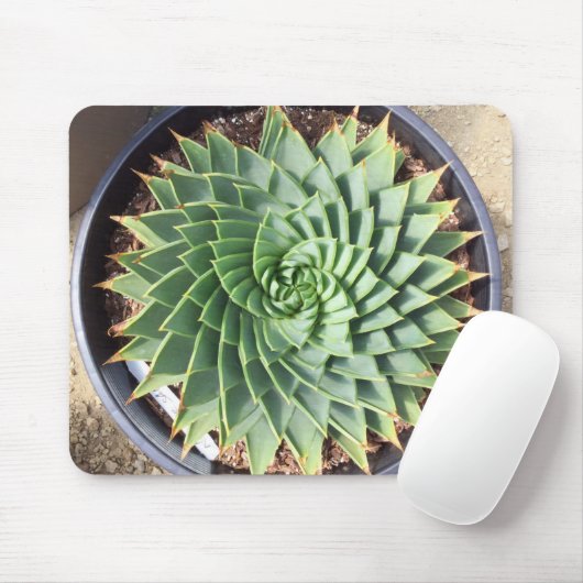 Gewundene Aloe Mousepad (Mit Mouse)