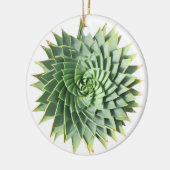 Gewundene Aloesucculent-Verzierung Keramik Ornament (Links)