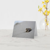 Gewundene Seashell-Strand-Anmerkungs-Karte Karte (Gelbe Blume)