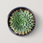 Gewundener Aloe-Knopf Button (Vorderseite)