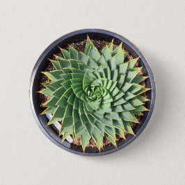 Gewundener Aloe-Knopf Button