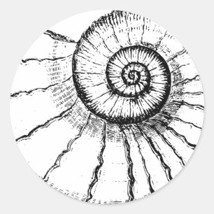 Gewundenes Fossil Runder Aufkleber