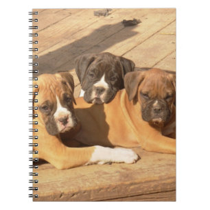 Gewundenes Notizbuch der Boxerwelpen Notizblock