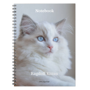 Gewundenes Notizbuch - Ragdoll Kätzchen Boris Notizblock