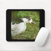 Gewürz isst und mahnt mousepad (Mit Mouse)