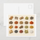 Gewürzcollage Postkarte (Vorne/Hinten)