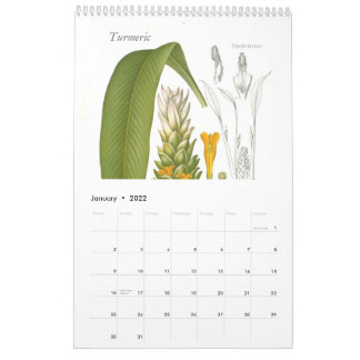 Gewürze 2015 kalender
