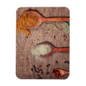 Gewürze auf Löffeln Magnet (Vertikal)