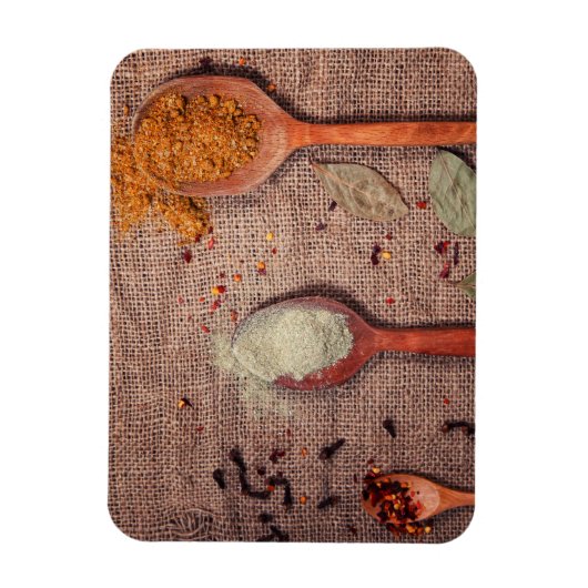 Gewürze auf Löffeln Magnet (Vertikal)