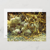 Gewürze Postkarte (Vorne/Hinten)