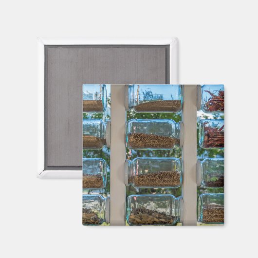 Gewürzgläser-Kühlschrankmagnet Magnet (Vorderseite/Rückseite)