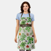 Gewürzkräuter und Gewürze Schürze (Getragen)