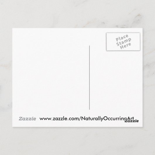 Geyser about to erupt! greeting card postkarte (Rückseite)