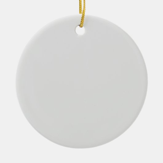 Geyser, Graugans, Eisen, Keramik Ornament (Vorne)