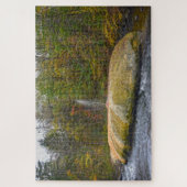 Geyser Island Spouter, Saratoga Springs, New York Puzzle (Vertikal)