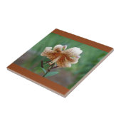 Gezackte Lilie Dekorative Fliese (Seite)