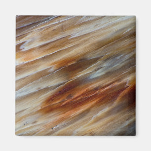 Gezacktes versteinertes Holz Magnet