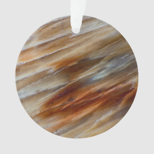 Gezacktes versteinertes Holz Ornament