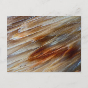 Gezacktes versteinertes Holz Postkarte