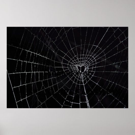 Gezänktes Web Poster (Vorne)