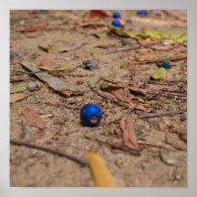 Gezeichnet Fallen Blueberries