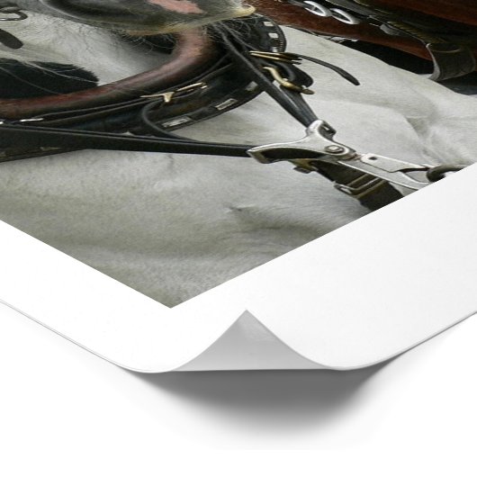 Gezeichnet Pferd Poster (Ecke)