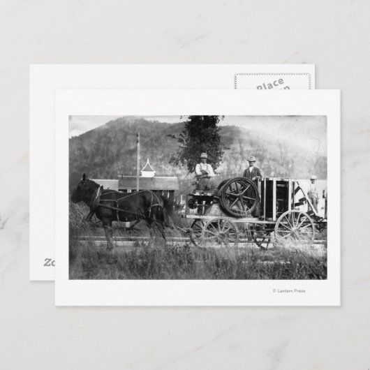 Gezeichnet Pferd Postkarte (Vorne/Hinten)