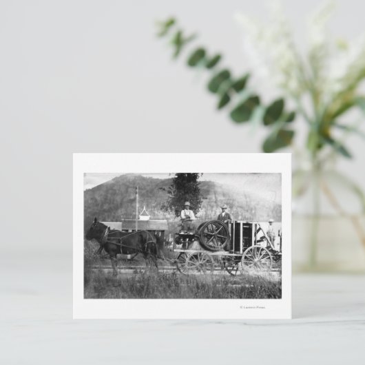 Gezeichnet Pferd Postkarte (Stehend Vorderseite)