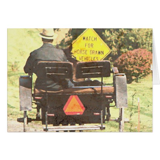 Gezeichnet Pferde Vechicles, Amphipferd und Buggy (Vorderseite (Horizontal))