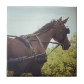 Gezeichnet Transport Fliese (Vorderseite)