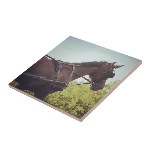 Gezeichnet Transport Fliese (Seite)