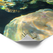 Gezeichnet von Great Barrier Reef Coral - #2 Poster (Ecke)